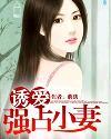 诱爱强占小妻子