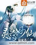 灵丹妙药书赵岩